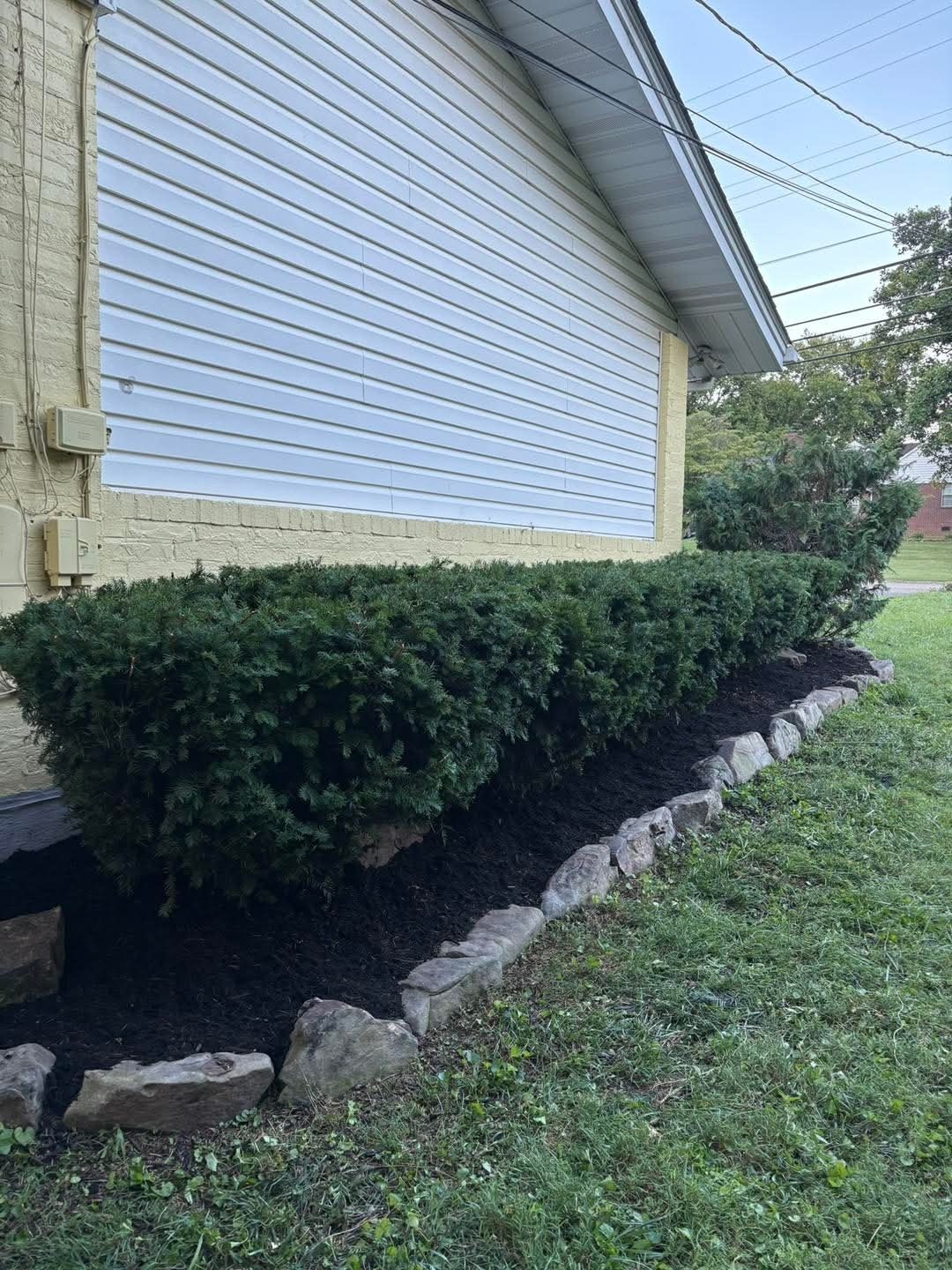 Neatly trimmed hedges in a mulch bed edged with stones