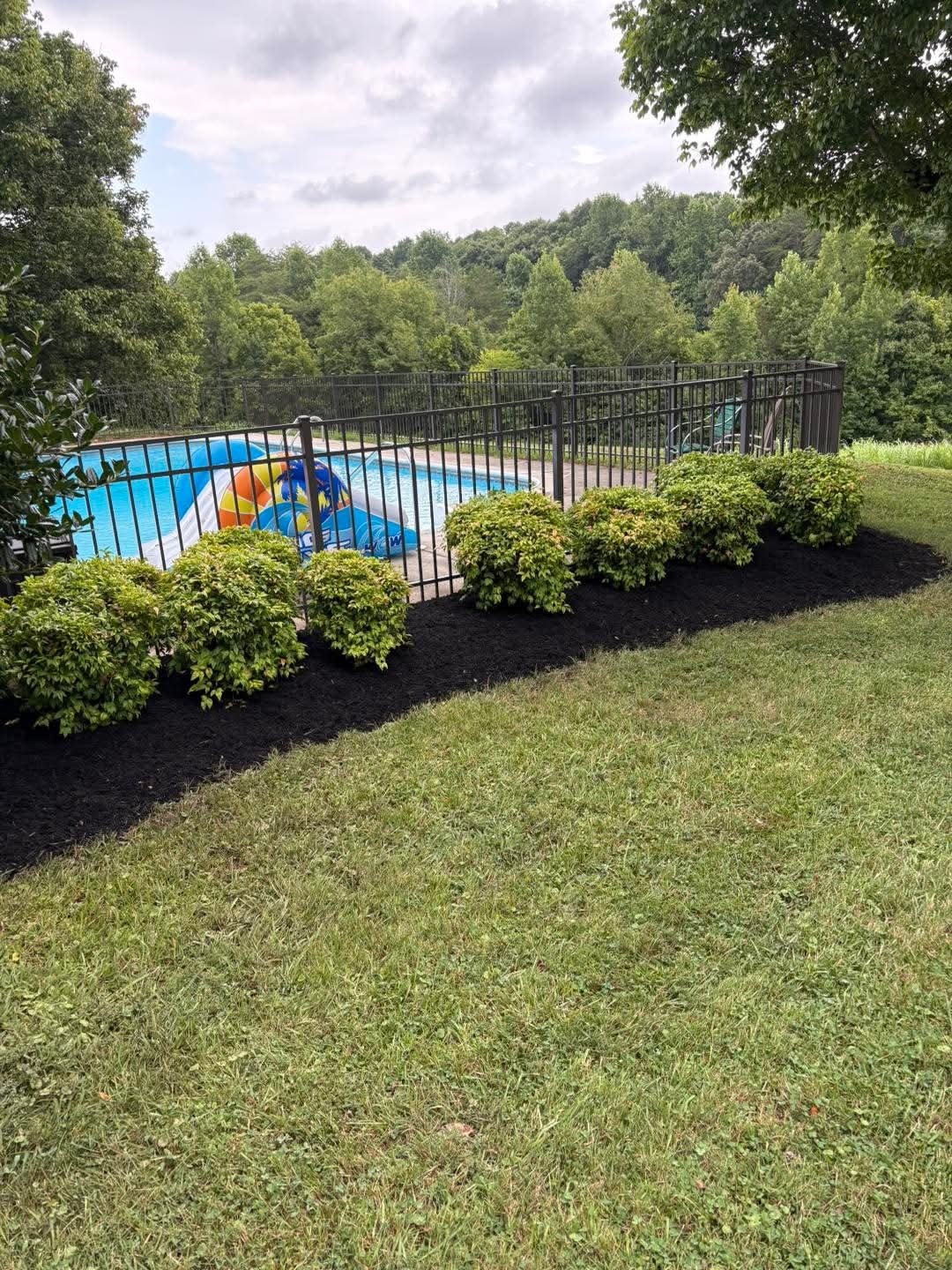 A fresh black mulch bed with rounded shrubs along a pool fence